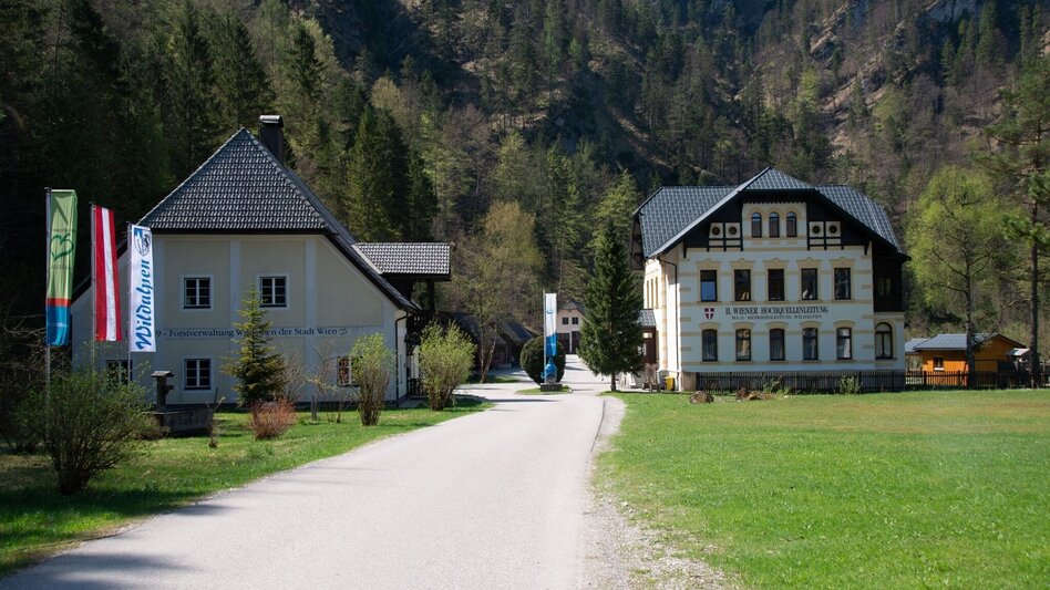 Wanderung Wildalpen - Burgstallort - Touren-Impression #2.4 | © TV Gesäuse