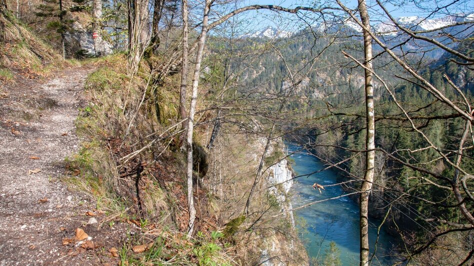Wanderung Wildalpen - Burgstallort - Touren-Impression #2.5 | © TV Gesäuse
