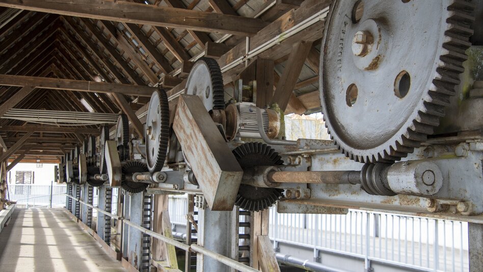 Bike Riding Raab Valley Cycle Path R11 (Raabtalradweg R11) - Touren-Impression #2.8 | © Thermen- & Vulkanland