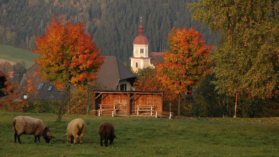 Wanderung Wanderweg Birkfeld - St. Georgen, Birkfeld - Touren-Impression #2.2 | © Oststeiermark Tourismus