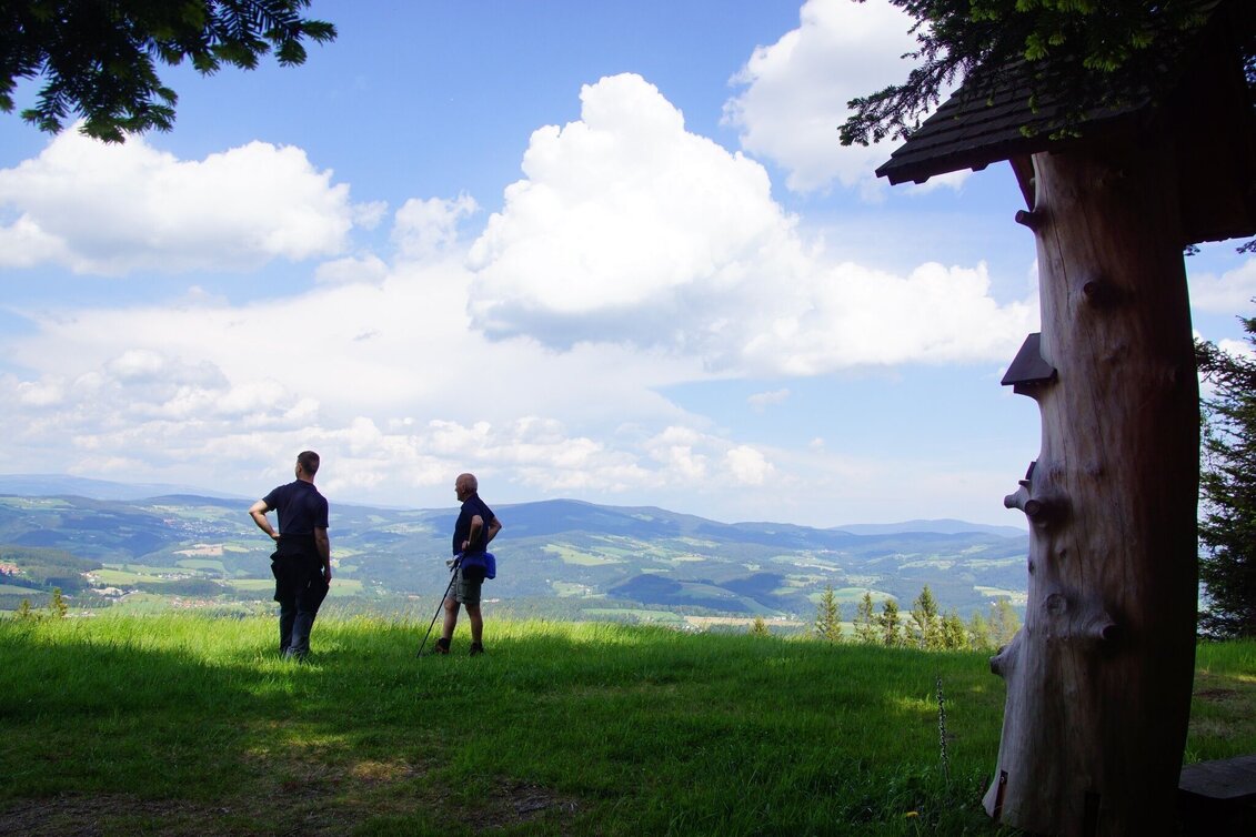 Hiking route Schoberkogelweg, Birkfeld - Touren-Impression #1 | © Karl Zodl