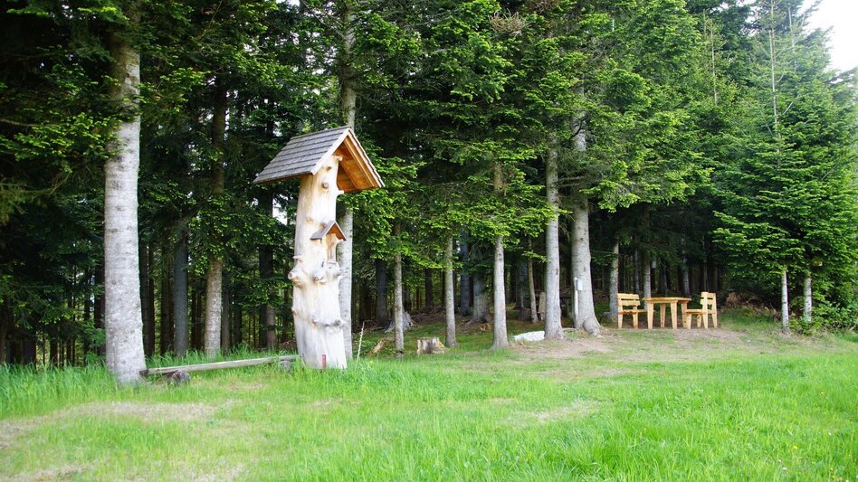 Hiking route Schoberkogelweg, Birkfeld - Touren-Impression #2.4 | © Karl Zodl