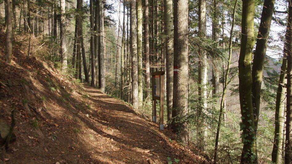 Theme path Forest nature trail, Koglhof - Touren-Impression #2.2 | © Oststeiermark Tourismus