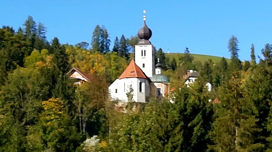 Theme path Forest nature trail, Koglhof - Touren-Impression #2.4 | © Oststeiermark Tourismus