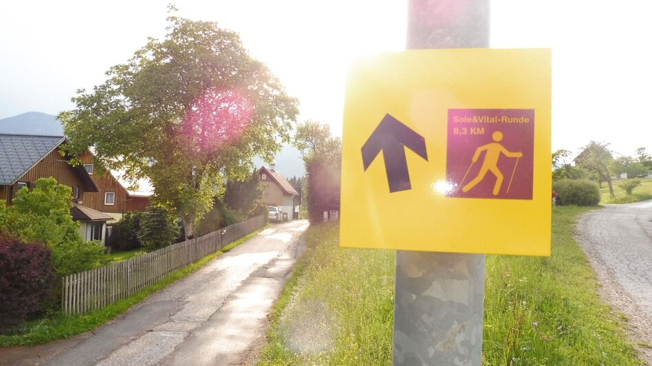 Jogging "Sole&Vital-Runde" - Touren-Impression #2.8 | © Ausseerland