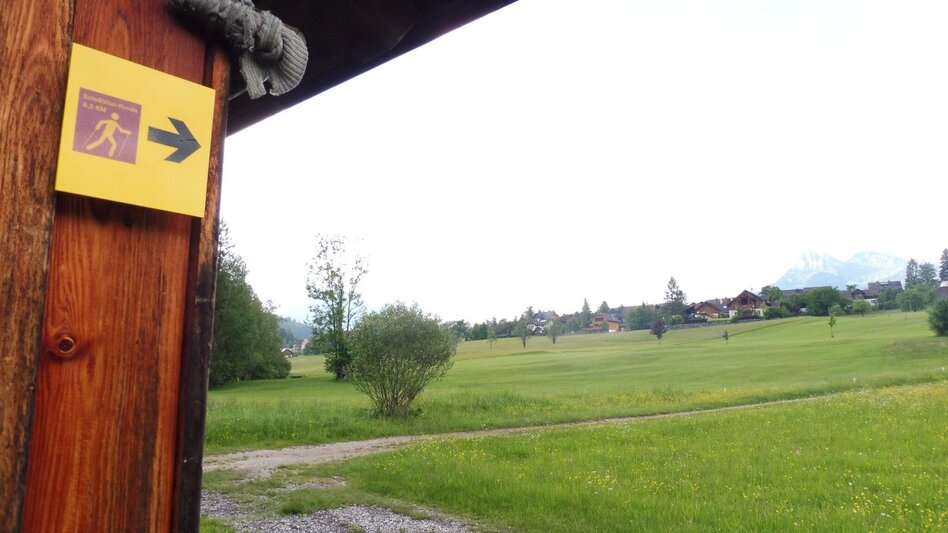 Jogging "Sole&Vital-Runde" - Touren-Impression #2.9 | © Ausseerland