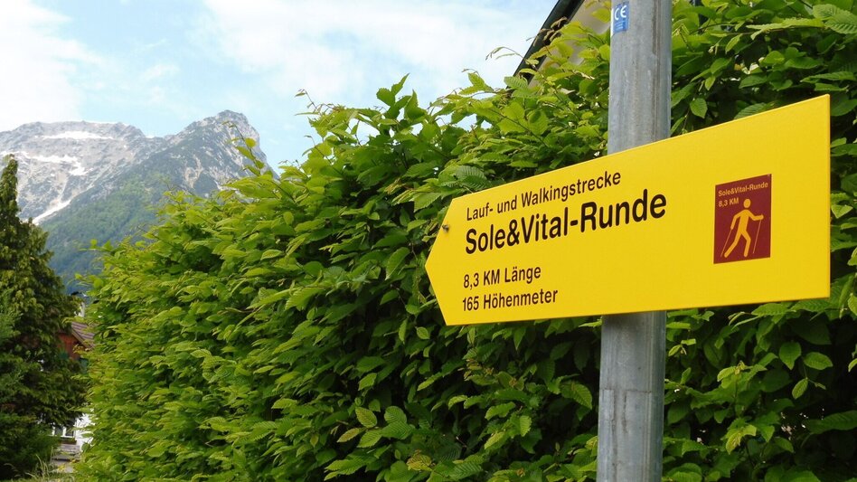 Jogging "Sole&Vital-Runde" - Touren-Impression #2.10 | © Ausseerland