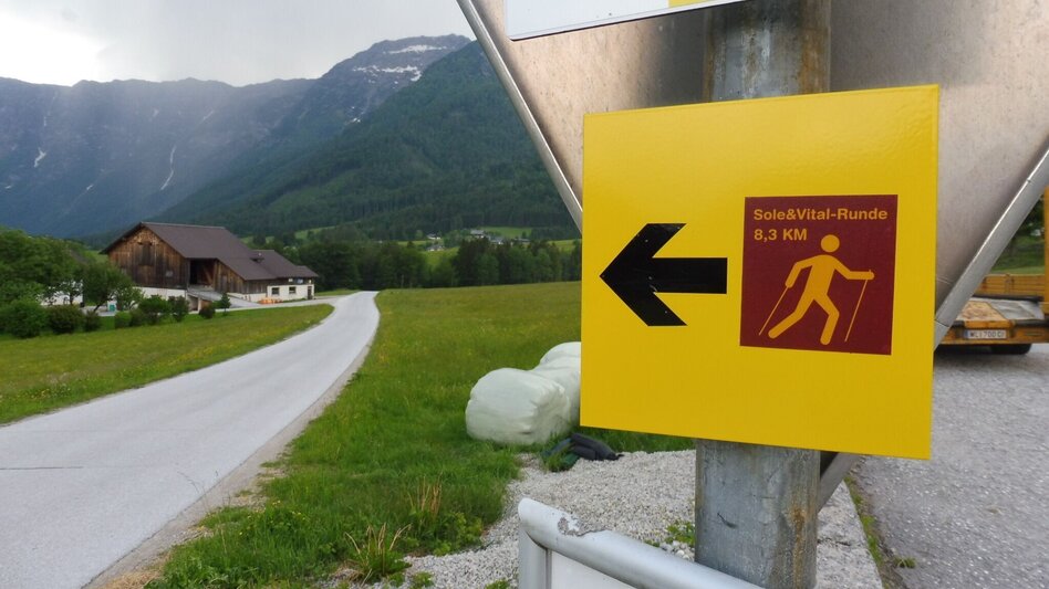 Jogging "Sole&Vital-Runde" - Touren-Impression #2.11 | © Ausseerland