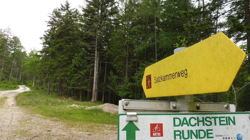 Jogging "Sole&Vital-Runde" - Touren-Impression #2.12 | © Ausseerland