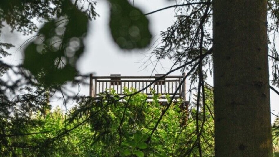 Wanderung Emmauswinzerweg - Touren-Impression #2.6 | © TV Südsteiermark