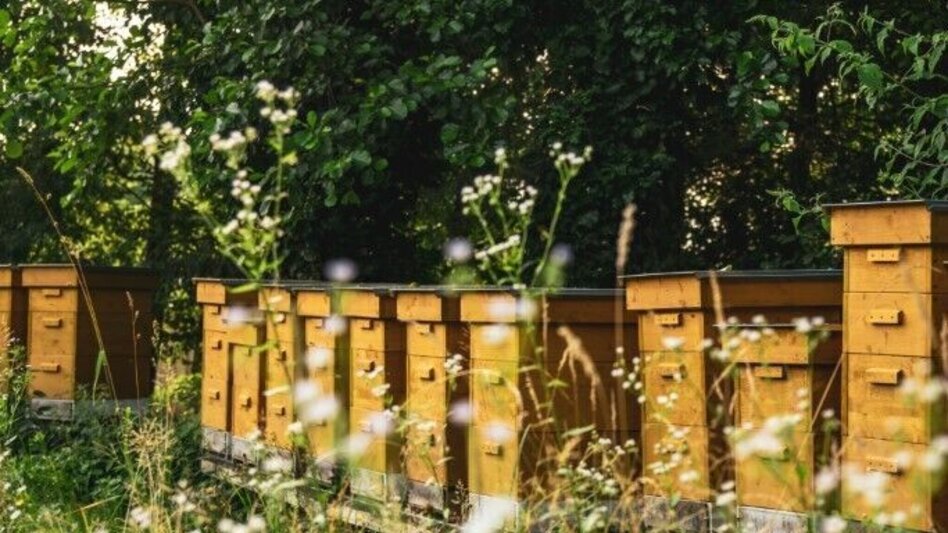 Wanderung Emmauswinzerweg - Touren-Impression #2.8 | © TV Südsteiermark