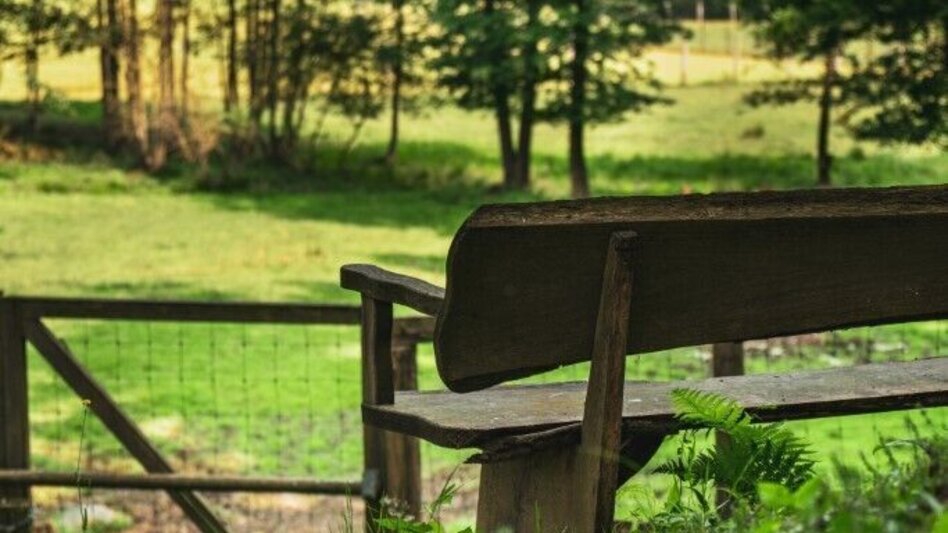 Wanderung Emmauswinzerweg - Touren-Impression #2.10 | © TV Südsteiermark