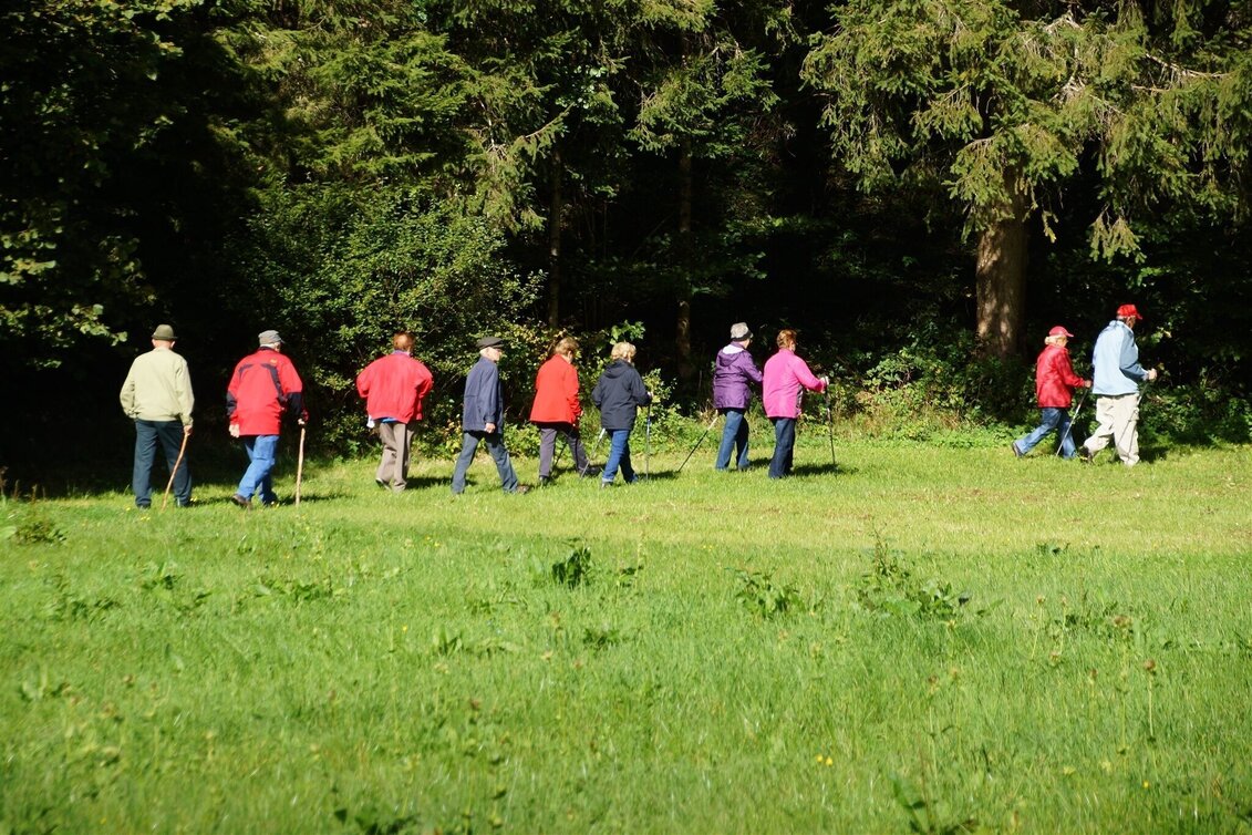 Pilgerweg Mariazellerweg Abschnitt Birkfeld -  Schanzsattel, Birkfeld - Touren-Impression #1 | © Karl Zodl