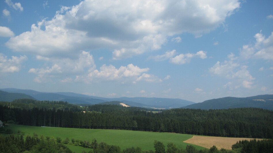 Hiking route Waldbach circular route, Wenigzell - Touren-Impression #2.1 | © Silke Almer, Gemeinde Wenigzell