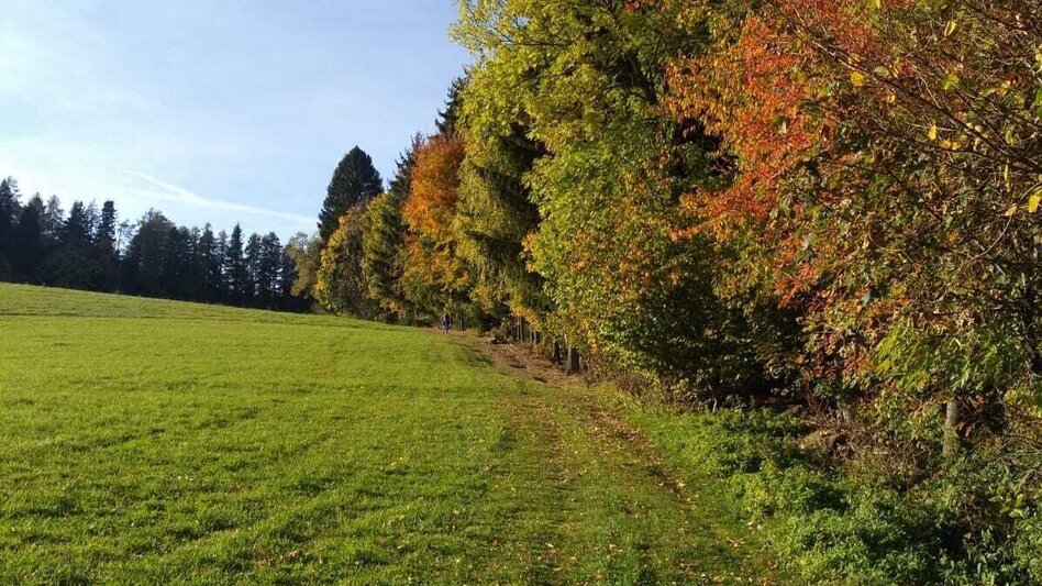 Hiking route Circular trail - Lafnitzegg No. 2, Wenigzell - Touren-Impression #2.2 | © Oststeiermark Tourismus