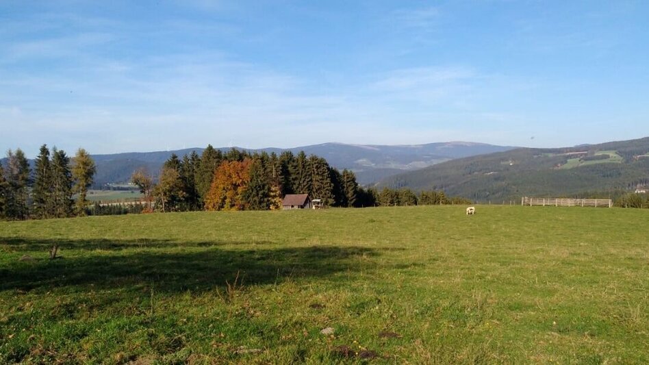 Hiking route Circular trail - Lafnitzegg No. 2, Wenigzell - Touren-Impression #2.3 | © Oststeiermark Tourismus