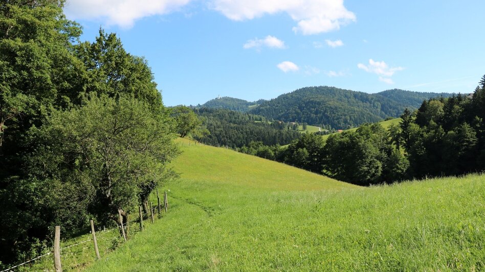 Hiking route UrKräuterweg am Remschnigg - Touren-Impression #2.1 | © TV Südsteiermark