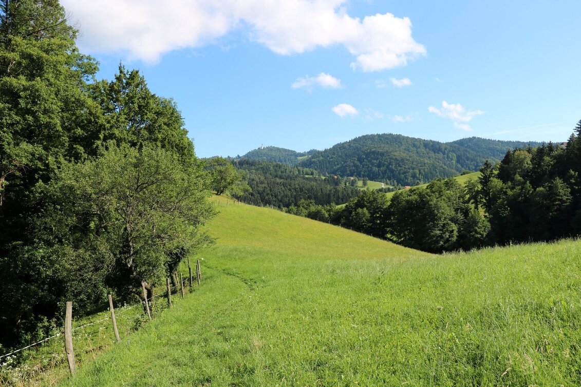 Hiking route UrKräuterweg am Remschnigg - Touren-Impression #1 | © TV Südsteiermark