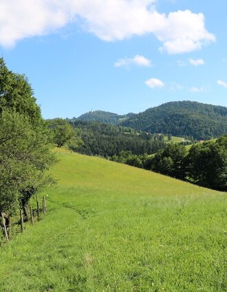 Wandern am UrKräuterweg - Entlang der Grenze | TV Südsteiermark | © TV Südsteiermark