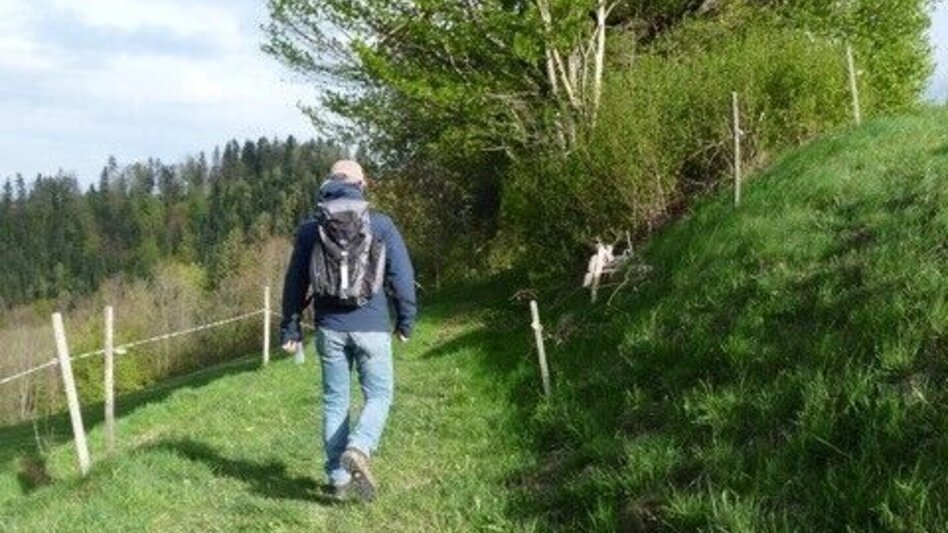 Hiking route UrKräuterweg am Remschnigg - Touren-Impression #2.2 | © Bettina Tertinjek