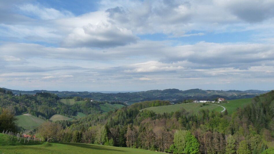 Hiking route UrKräuterweg am Remschnigg - Touren-Impression #2.5 | © Bettina Tertinjek