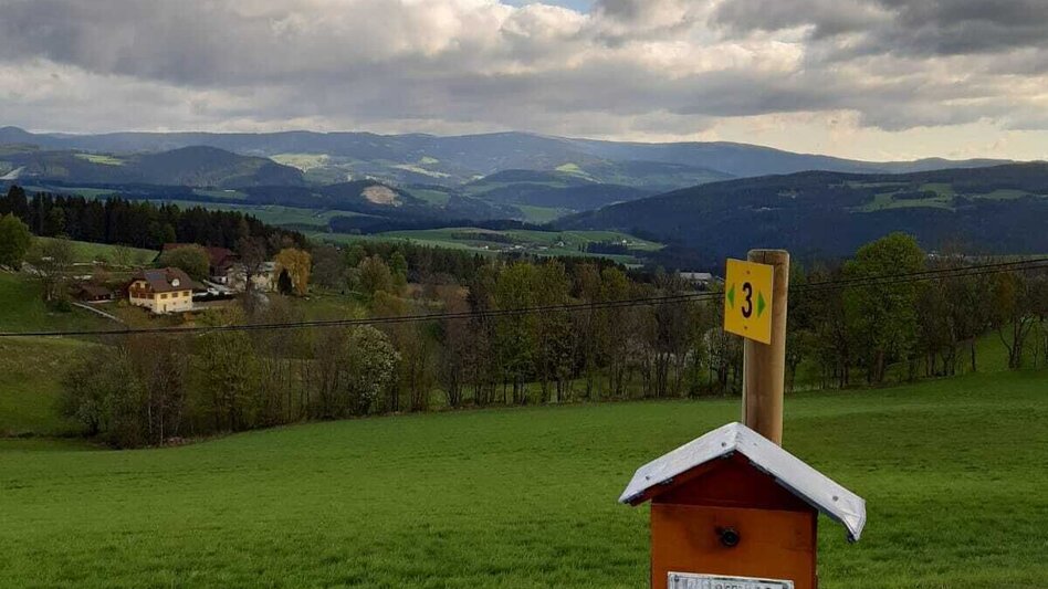 Hiking route Wildwiese - Kreuzwirt no 3, Wenigzell - Touren-Impression #2.3 | © Oststeiermark Tourismus