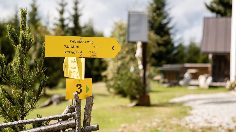 Hiking route Skilift - Dead Man - No. 4, Wenigzell - Touren-Impression #2.3 | © TV Oststeiermark