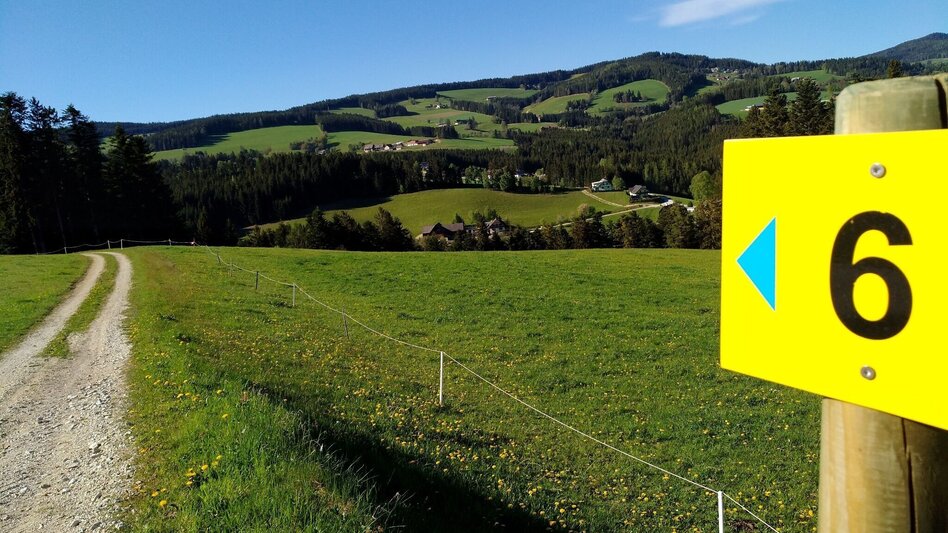 Hiking route Circular hiking trail -  Kleinland No. 6, Wenigzell - Touren-Impression #2.2 | © Oststeiermark Tourismus