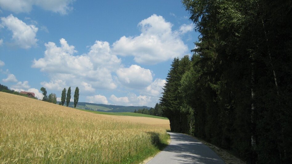 Hiking route Circular hiking trail - St. Jakob im Walde village boundary, No. 7, Wenigzell - Touren-Impression #2.1 | © Oststeiermark Tourismus