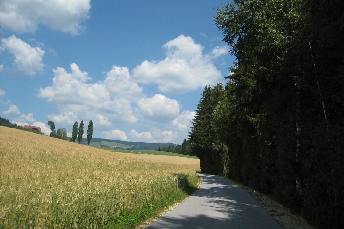 Hiking route Circular hiking trail - St. Jakob im Walde village boundary, No. 7, Wenigzell - Touren-Impression #1 | © Oststeiermark Tourismus
