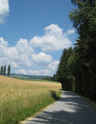 Wanderweg Wenigzell Richtung St. Jakob im Walde / Kraftpfad | Birgit Kandlbauer | © Oststeiermark Tourismus