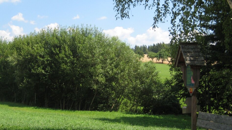 Hiking route Wenigzell hiking trail no. 918: Wetterkreuz - St. Jakob im Walde, Wenigzell - Touren-Impression #2.4 | © Oststeiermark Tourismus