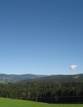 Wanderweg 919 Wenigzell Richtung Vorau | Birgit Kandlbauer | © Oststeiermark Tourismus