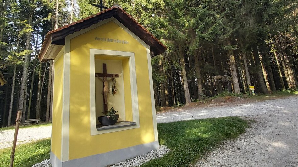 Hiking route Wenigzell hiking trail No. 920: Wenigzell - Dead Man, Wenigzell - Touren-Impression #2.1 | © Oststeiermark Tourismus