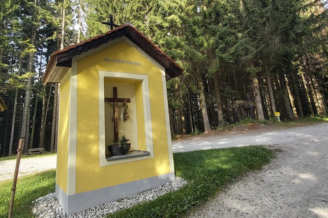 Hiking route Wenigzell hiking trail No. 920: Wenigzell - Dead Man, Wenigzell - Touren-Impression #1 | © Oststeiermark Tourismus