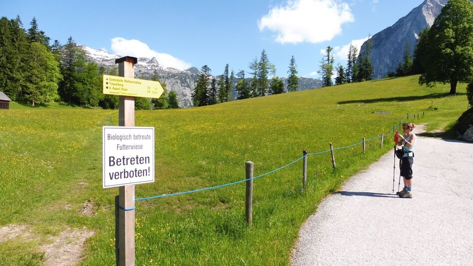 Trailrunning Bergtour auf die Trisselwand - Touren-Impression #2.4 | © Ausseerland