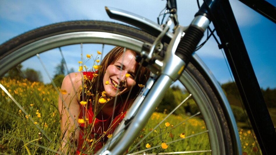 Bike Riding Cycle tour via Schönegg and Pöllauberg, Pöllau - Touren-Impression #2.2 | © Oststeiermark Tourismus