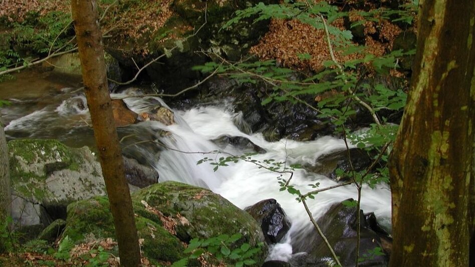 Hiking route Zwei-Elemente Weg - Touren-Impression #2.2 | © TV Südsteiermark