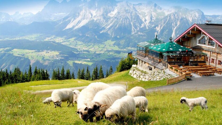 Mountainbike Bike & Hike Tour Planai (mit Lademöglichkeit) - Touren-Impression #2.2 | © Schafalm