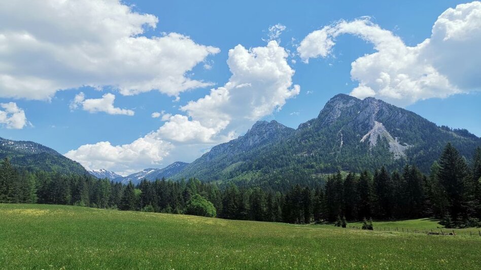 Hiking route Family hike from Tauplitz to the Gnanitzalm - Touren-Impression #2.2 | © TVB Ausseerland-Salzkammergut_Theresa Schwaiger