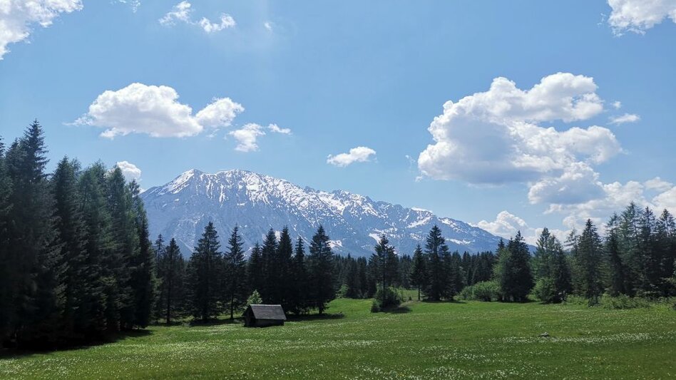 Hiking route Family hike from Tauplitz to the Gnanitzalm - Touren-Impression #2.3 | © TVB Ausseerland-Salzkammergut_Theresa Schwaiger