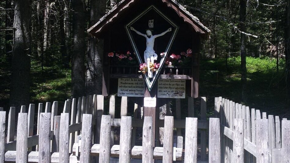 Hiking route Around Falkenstein, Fischbach - Touren-Impression #2.5 | © Tourismus Fischbach