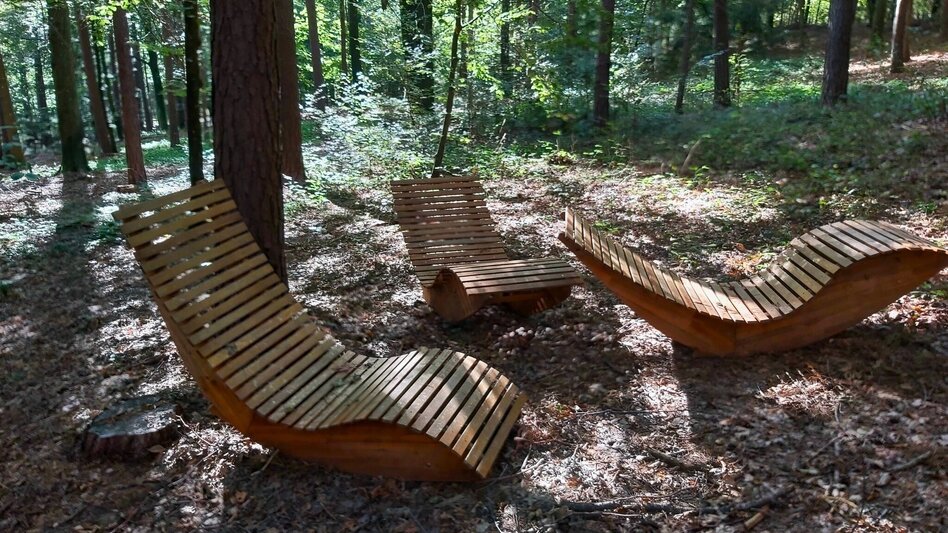 Hiking route Fieberbründlweg, Pöllau - Touren-Impression #2.5 | © Oststeiermark Tourismus