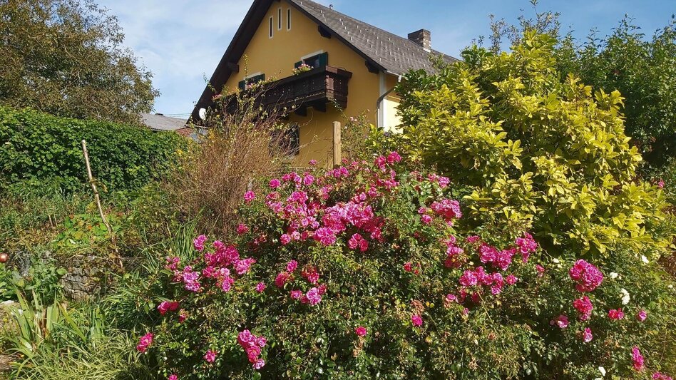 Hiking route Fieberbründlweg, Pöllau - Touren-Impression #2.6 | © Oststeiermark Tourismus