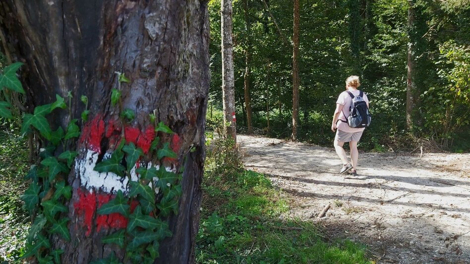 Hiking route Fieberbründlweg, Pöllau - Touren-Impression #2.10 | © Oststeiermark Tourismus