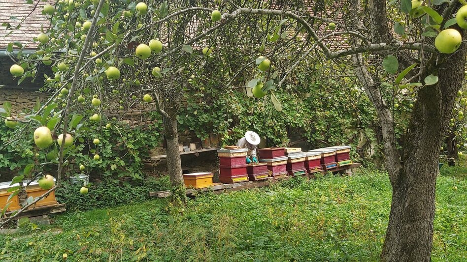 Hiking route Fieberbründlweg, Pöllau - Touren-Impression #2.2 | © Oststeiermark Tourismus