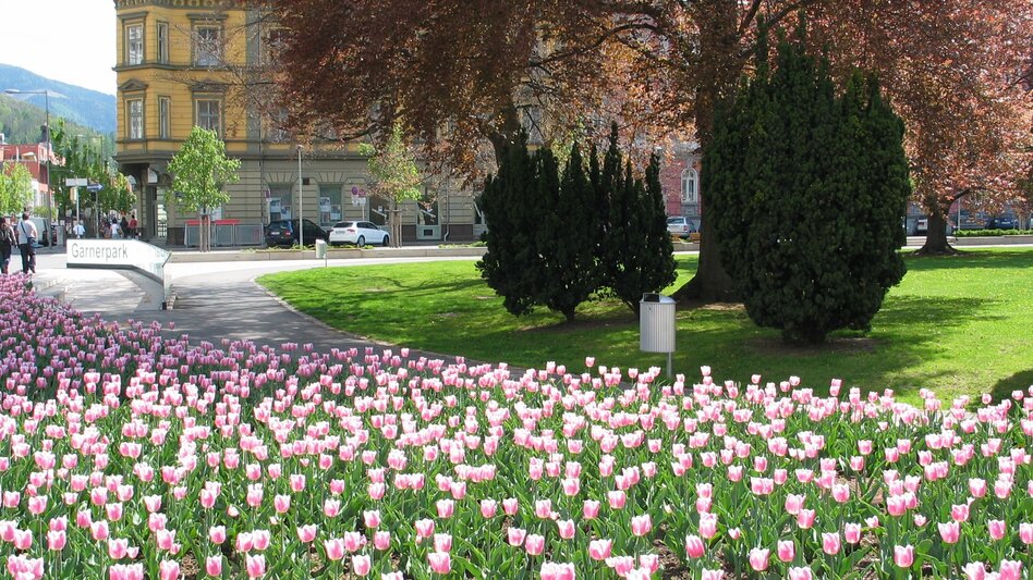 Stadtrundgang Leobener Altstadtspaziergang - Touren-Impression #2.23 | © Tourismusverband Leoben