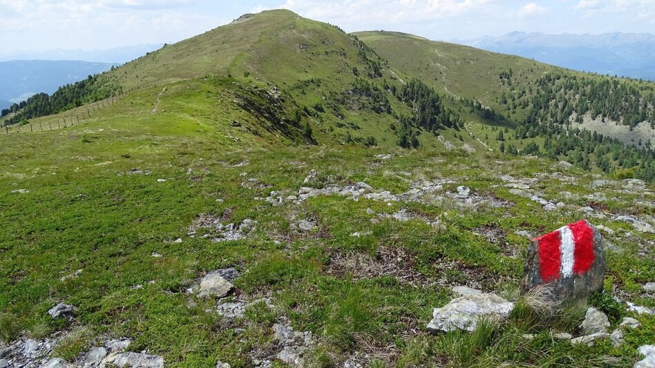 Wanderung Kammwanderung Prankerhöhe - Touren-Impression #2.3 | © Tourismusverband Murau