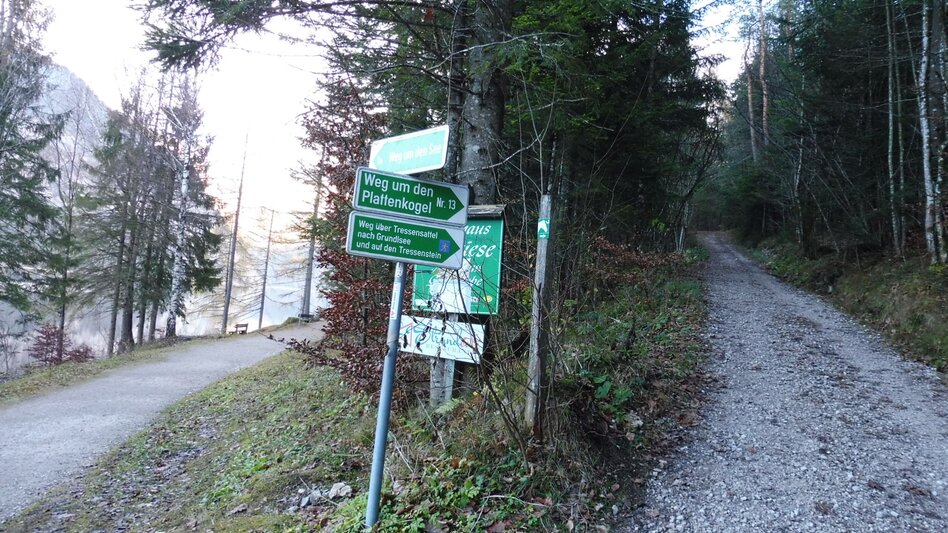 Nordic Walking Altaussee cress round - Touren-Impression #2.3 | © Ausseerland