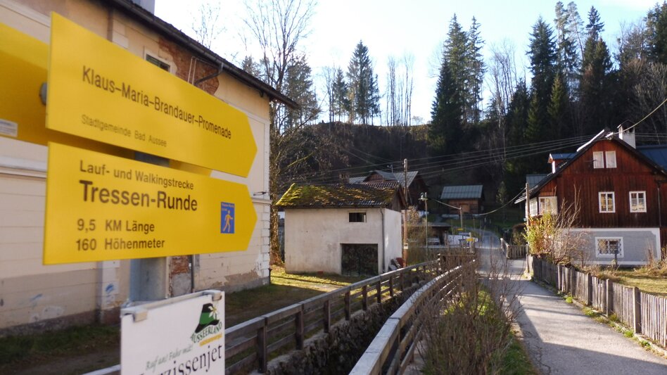 Nordic Walking Altaussee cress round - Touren-Impression #2.5 | © Ausseerland